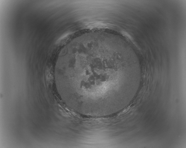 X0000066941063200603241136