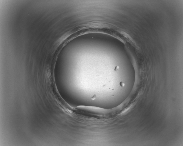 X0000066941065200603241136