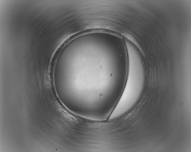 X0000066941068200603241136