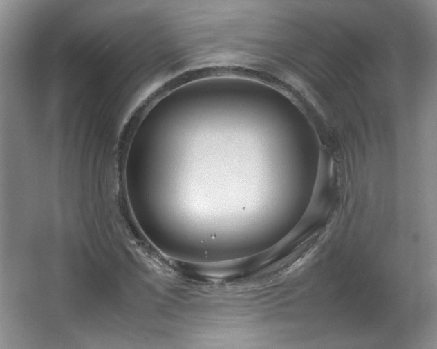 X0000066941069200603241136