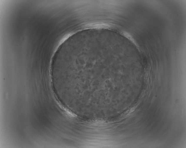 X0000066941071200603241136