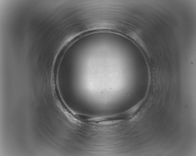 X0000066941072200603241136