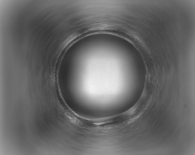 X0000066941073200603241136