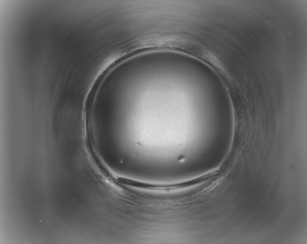 X0000066941079200603241136