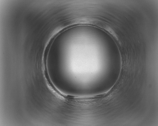 X0000066941080200603241136