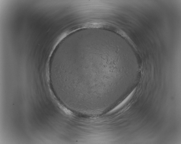 X0000066941083200603241136