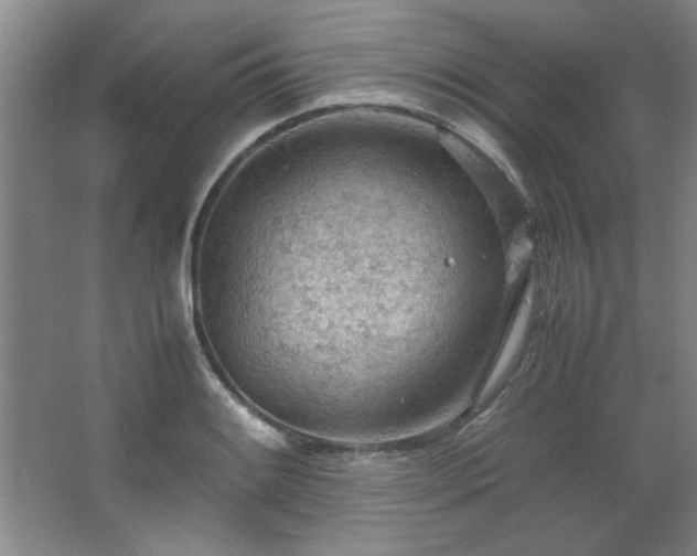 X0000066941084200603241136