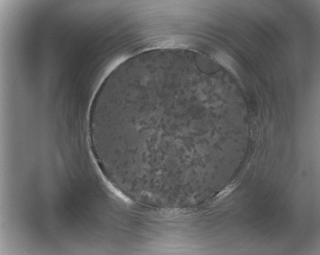 X0000066941087200603241136