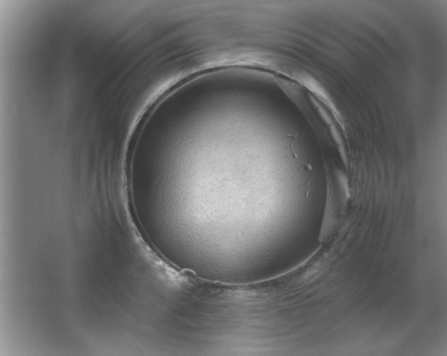 X0000066941088200603241136