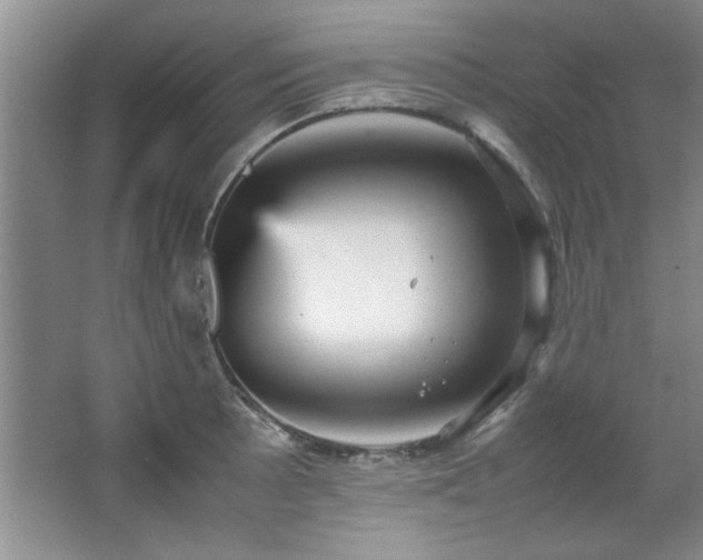 X0000066941089200603241136