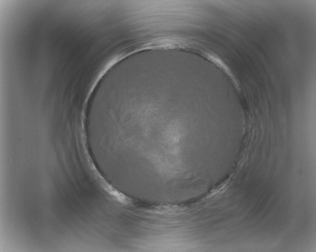 X0000066941091200603241136