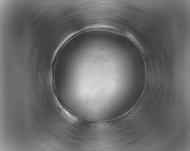 X0000066941092200603241136