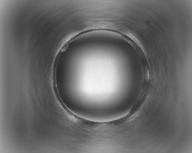 X0000066941093200603241136