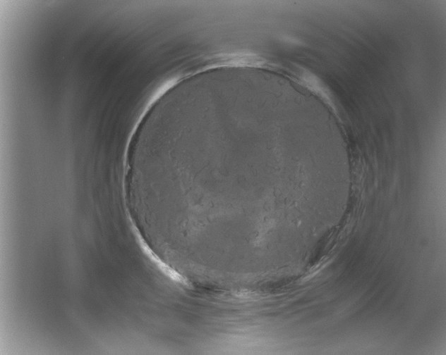 X0000066941095200603241136