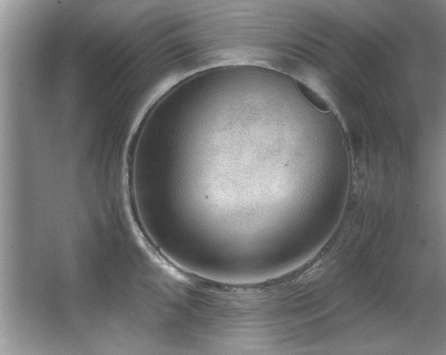 X0000066941096200603241135