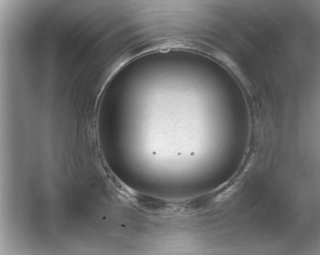 X0000066941097200603241135