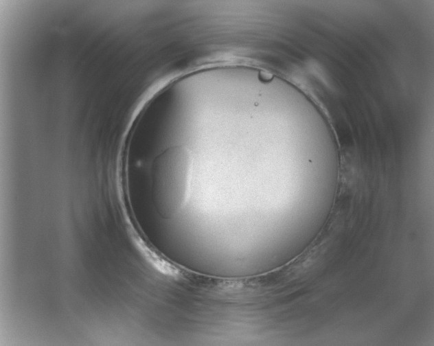 X0000066941098200603241135