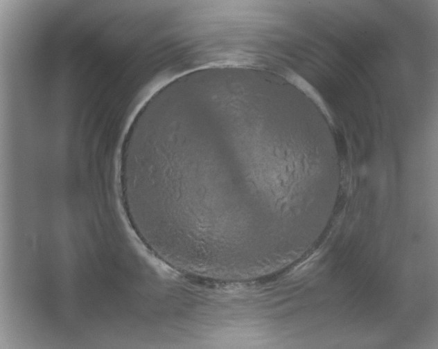 X0000066941099200603241135