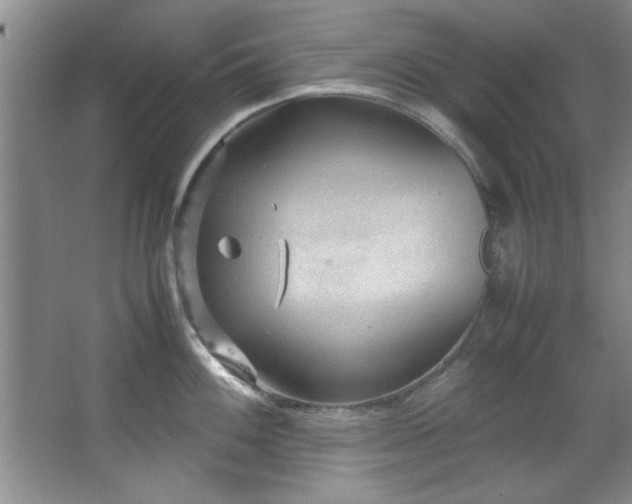 X0000066941100200603241135