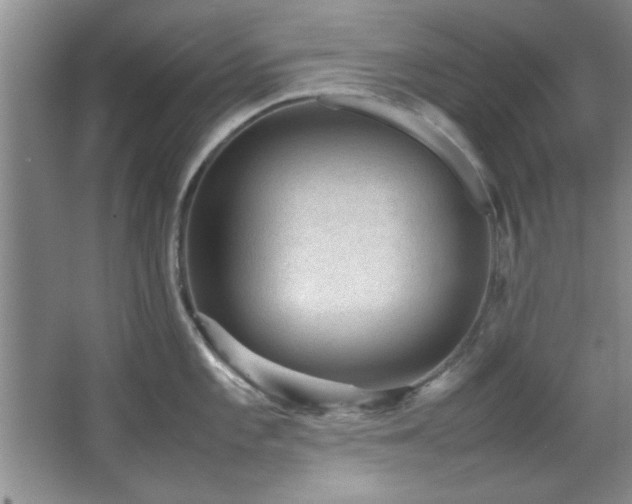 X0000066941101200603241135