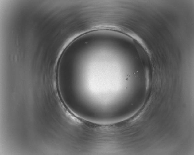 X0000066941102200603241135