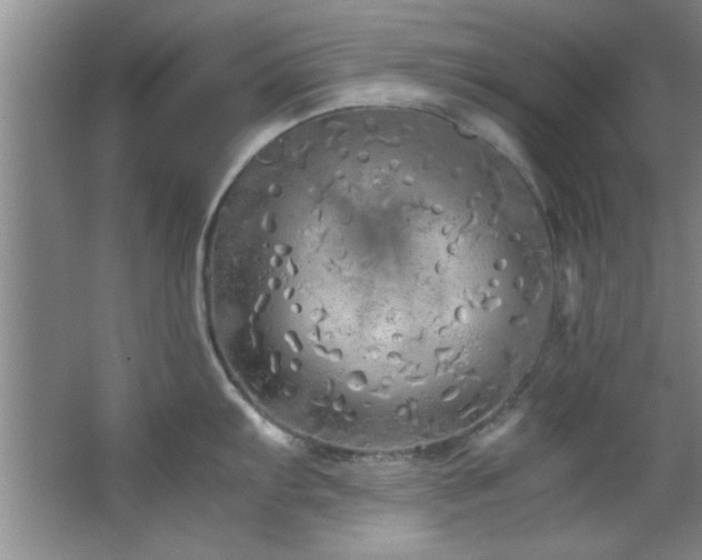 X0000066941103200603241135