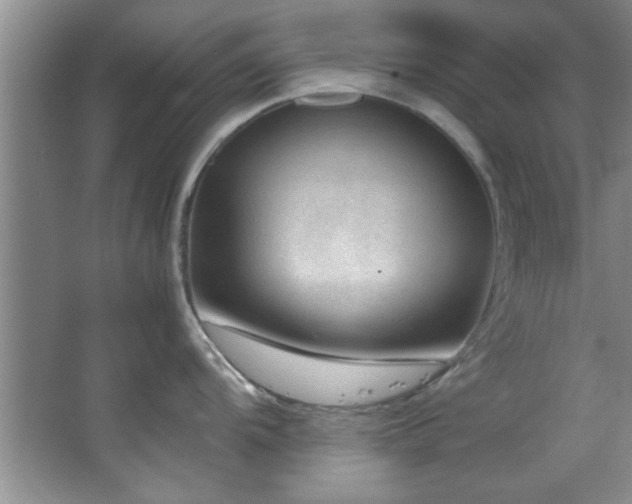 X0000066941104200603241135