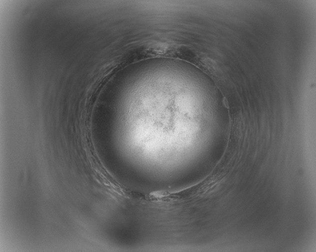 X0000066941105200603241135