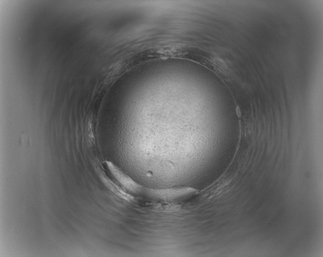 X0000066941106200603241135