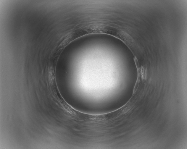 X0000066941107200603241135