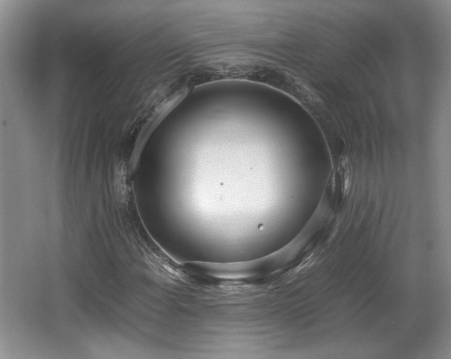 X0000066941108200603241135