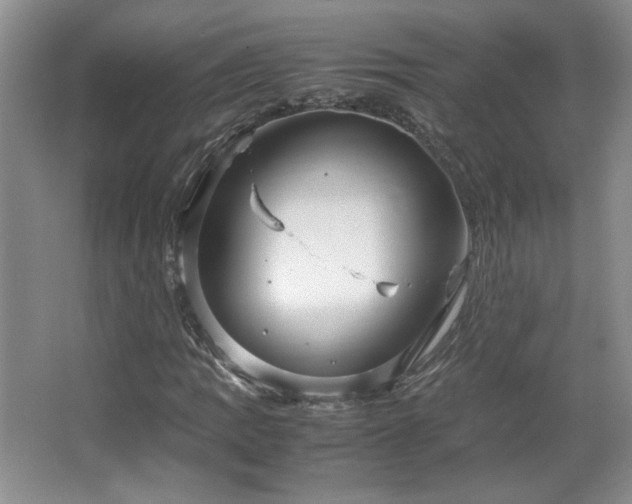 X0000066941109200603241135