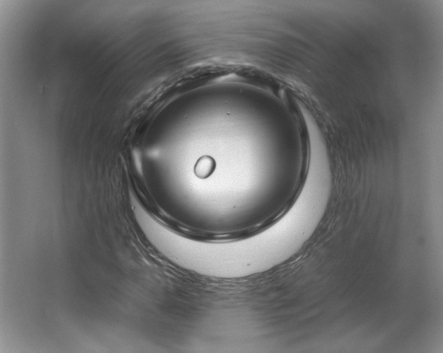 X0000066941110200603241135