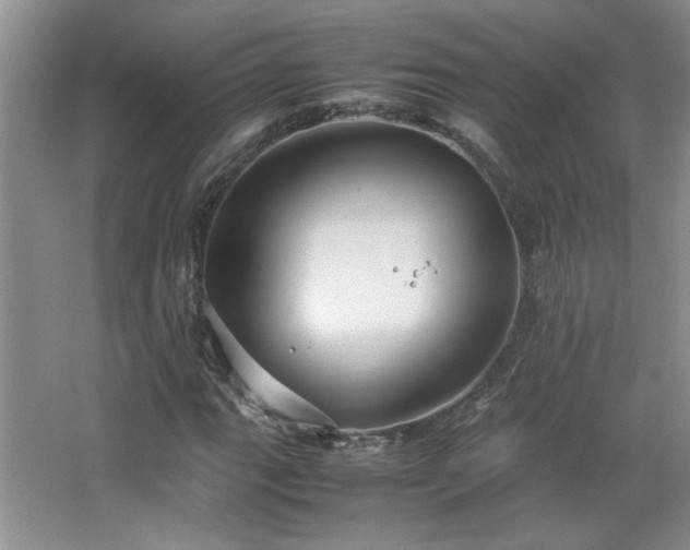 X0000066941111200603241135