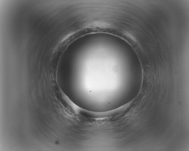 X0000066941112200603241135