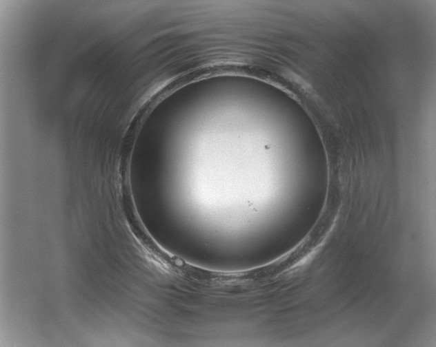 X0000066941113200603241135