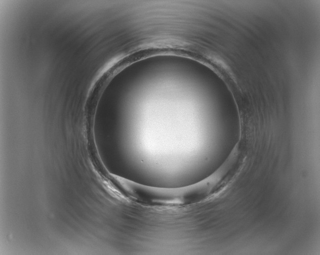 X0000066941114200603241135