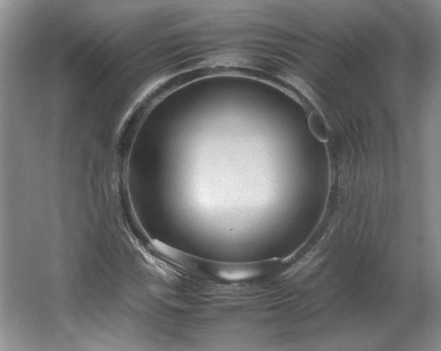 X0000066941115200603241135