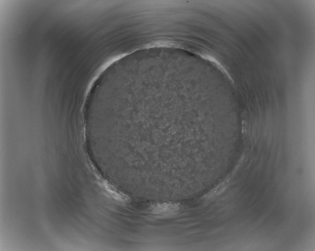 X0000066941117200603241135