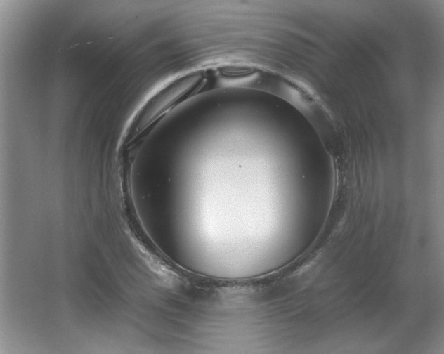 X0000066941118200603241135