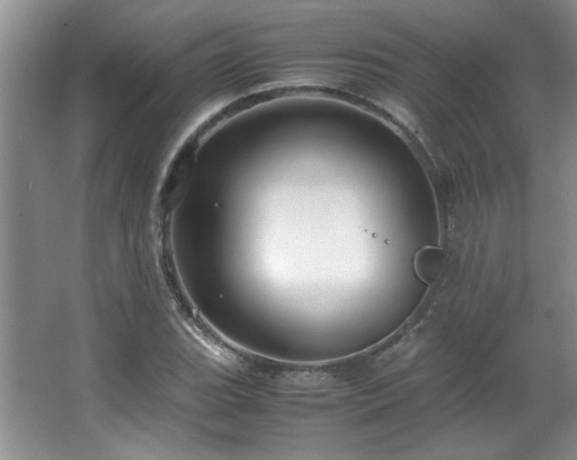 X0000066941119200603241135