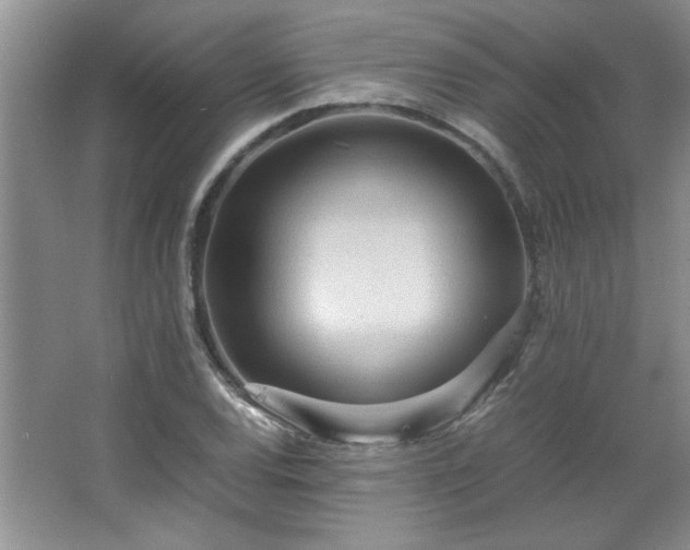 X0000066941120200603241135