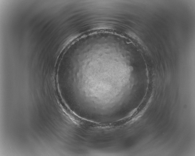 X0000066941121200603241135