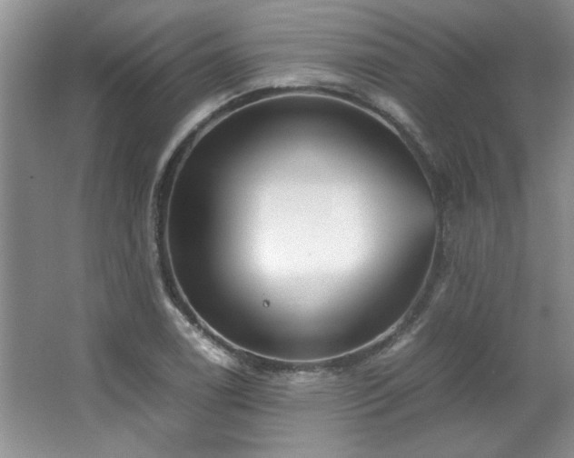 X0000066941122200603241135