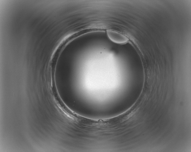 X0000066941123200603241135