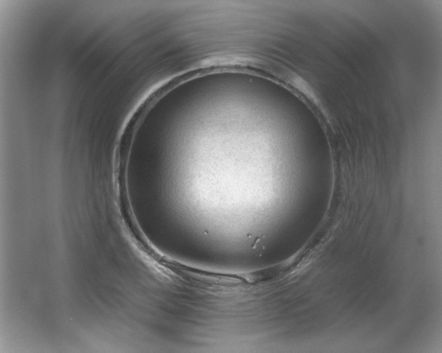 X0000066941124200603241135