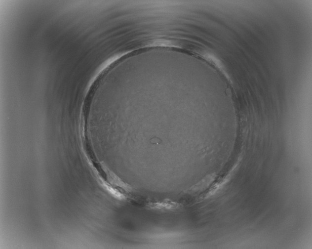 X0000066941125200603241135