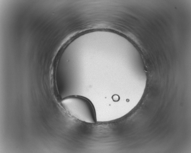 X0000066941126200603241135