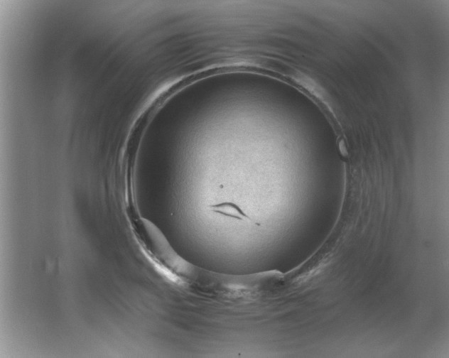 X0000066941127200603241135