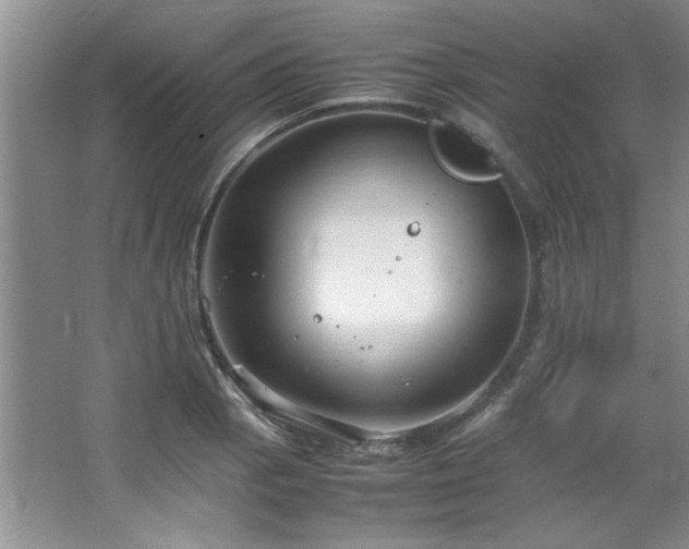 X0000066941129200603241135